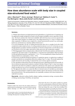 How does abundance scale with body size in coupled size