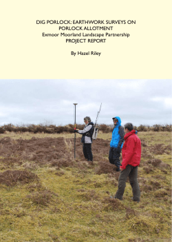 DIG PORLOCK - Archaeology Data Service