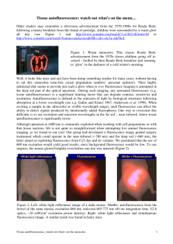 Tissue autofluorescence: watch out what`s on the menu&hellip;
