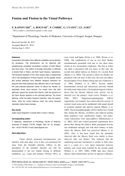 Fusion and Fission in the Visual Pathways