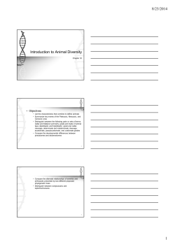 An Introduction to Animal Diversity