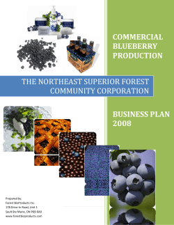 the northeast superior forest community business plan
