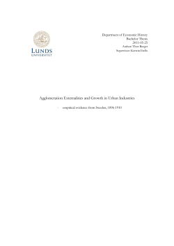 Agglomeration Externalities and Growth in Urban Industries