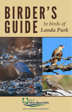 Guide to birds of - City of New Braunfels