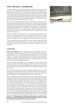 the natural landscape - Thames Landscape Strategy