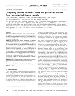 Computing cavities, channels, pores and pockets in proteins from