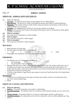 R. P SCHOOL ALAMDAR COLONY