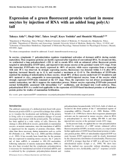Expression of a green fluorescent protein variant in mouse oocytes