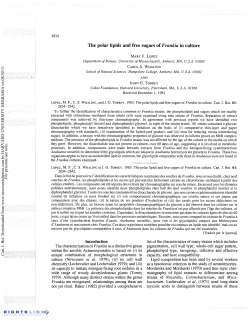 The polar lipids and free sugars of Frankia in culture
