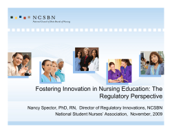 Fostering Innovation in Nursing Education: The Regulatory