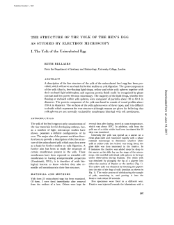 the structure of the yolk of the hen`s egg as