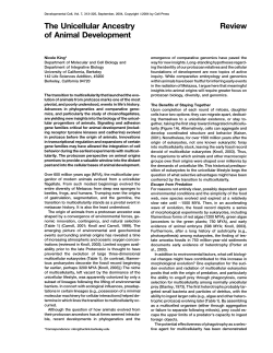 Review The Unicellular Ancestry of Animal Development