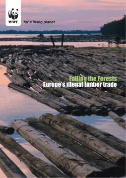 Failing forest - Europe`s illegal timber trade