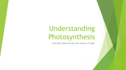 Understanding Photosynthesis