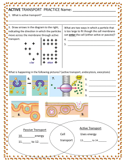 ACTIVE TRANSPORT PRACTICE Name