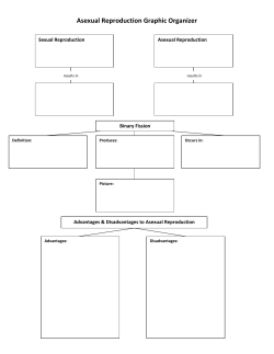 Asexual Reproduction Graphic Organizer