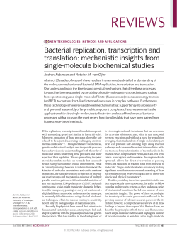 Bacterial replication, transcription and translation