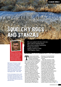 SQUELCHY BOGS - Visit Dartmoor