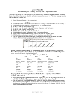 Excel Project 3