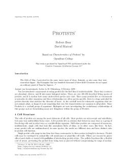 Protists - OpenStax CNX