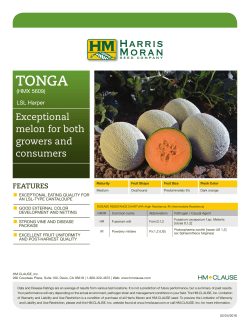 Exceptional melon for both growers and consumers