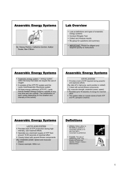 Anaerobic Energy Systems-finished week 3