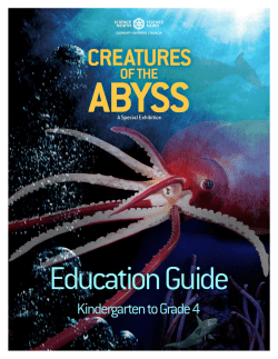 the Education Guide