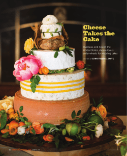 Cheese Takes the Cake - Lynn Freehill-Maye