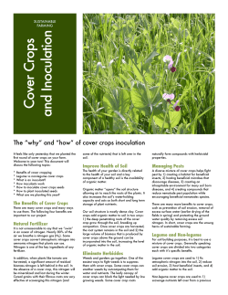 Cover Crops and Inoculation