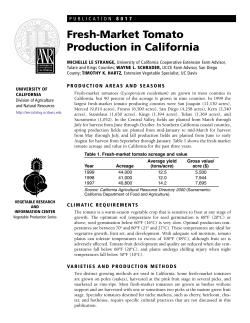 Fresh Market Tomato Production in California