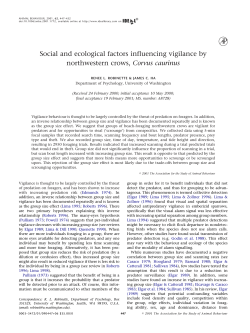 Social and ecological factors influencing vigilance by northwestern