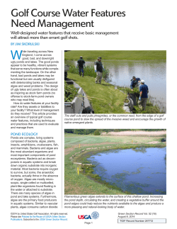 Golf Course Water Features Need Management