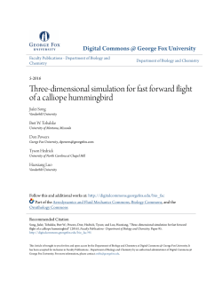 Three-dimensional simulation for fast forward flight of a calliope