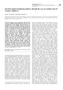 Jak-Stat signal transduction pathway through the eyes of