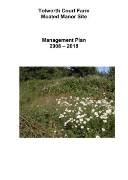 Tolworth Court Farm Moated Manor Site Management Plan 2008