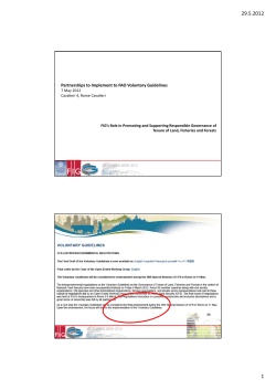 Partnerships to Implement to FAO Voluntary Guidelines