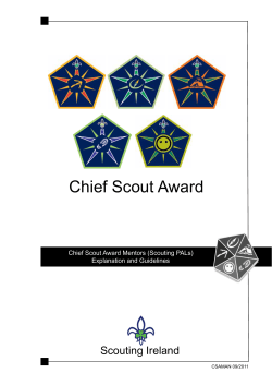 Chief Scout Award - Scouting Ireland