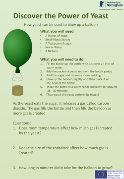 Discover the Power of Yeast