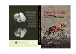 Private Lives: An Expos&eacute; of Singapore`s Mangroves