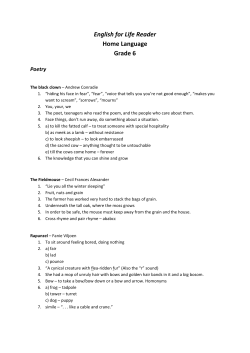 English for Life Reader Gr. 6 Home Language Answers