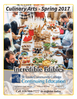 the PDF - St. Louis Community College