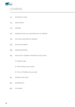 An introduction to common Spiders of Sri Lanka (eBook Sample)