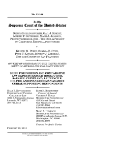 Brief for Foreign and Comparative Law Experts