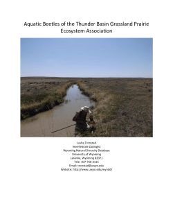 Aquatic Beetles of the Thunder Basin Grassland Prairie Ecosystem