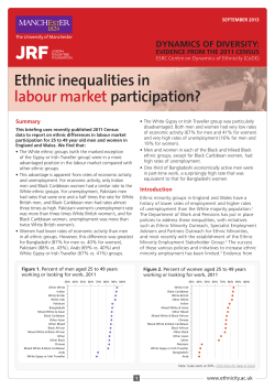 Ethnic inequalities in labour market participation?