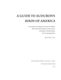 birds of america - Audubon Galleries