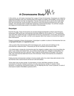 A Chromosome Study Karyotypes