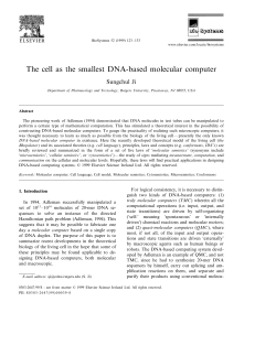 The cell as the smallest DNA-based molecular