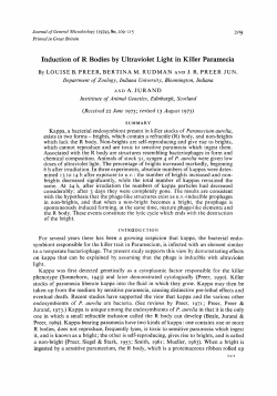 Induction of R Bodies by Ultraviolet Light in Killer Paramecia