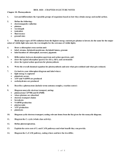 Chapter 10: Photosynthesis